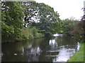 Spur off the Leeds-Liverpool Canal, Wheelton, Lancashire