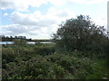 Lagoon at White Bridges