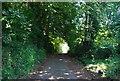 Footpath off Lucks Hill