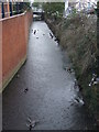 Wet ducks, Framlingham