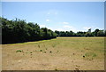 TQ6957 : Field by Broadwater Rd by N Chadwick