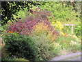 Cottage Garden near The Mill