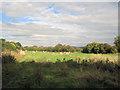 Hay bales in field from footpath