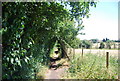 Footpath to Mill Street