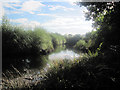 Granllyn Pool looking west from boardwalk