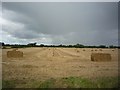 Bales off Beningbrough Lane