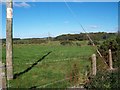 Rough grassland behind Ysgol Llidiardau