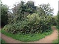 Paths, Lake Farm Country Park