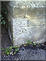 Benchmark on The Old Rectory, South Walks Road