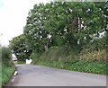 The B4584 enters Lamphey, Pembrokeshire