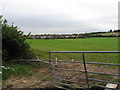 Fields on the edge of Pentrebane, Cardiff