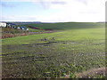 Farmland east of Southend