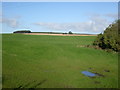 Farmland near Braefoot