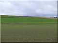 Farmland near Netherthird