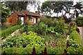 Vegetable garden at Bridgemere