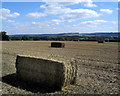 View from Clare Hill