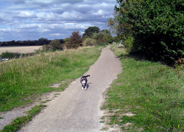 Old Dog on the Cycleway