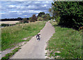 SU5288 : Old Dog on the Cycleway by Des Blenkinsopp