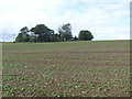 Farmland near Mains of Hatton