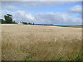 Farmland, Dykeside