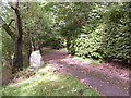 Track to Woodhead House