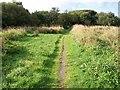 Path through the riverine marsh towards the Pwllheli Golf Club