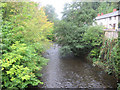 Upstream from Dolywern bridge