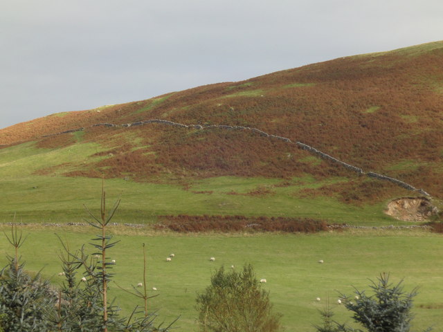 Dyke on north slope of Dow Craig