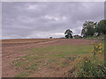 Farmland near Heiton