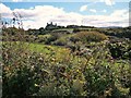 SH2034 : View across fields towards Bryn Geinach, Llangwnnadl by Eric Jones