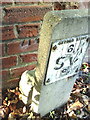 Benchmark on wall on Marcham Road near hospital entrance