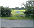 Absent cattle, Usk Road field, Raglan