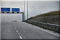 Buzzard on the Motorway link road