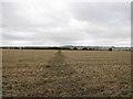 Footpath to Bellfield Farm