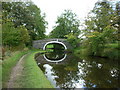 Walking along the Leeds to Liverpool Canal #465