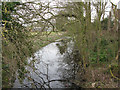 Looking N along stream at Dam Bridge