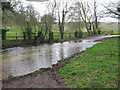 River Nailbourne crosses the Old Palace Road