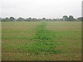 Footpath to Frith Road