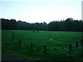 A picnic area near Wootton, taken at dawn