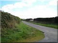 Lane leading towards Trefgraig Bach