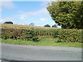 Usk Road : entrance to field through a gap in the hedge 