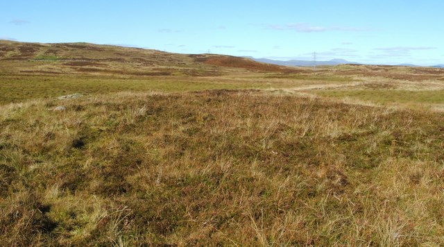 Possible hut circles on Burnhead Moor