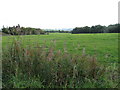 Field between Rotary Way and A692, Consett