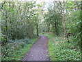 Path through woodland, Consett