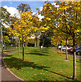 Bellahouston Park, Glasgow