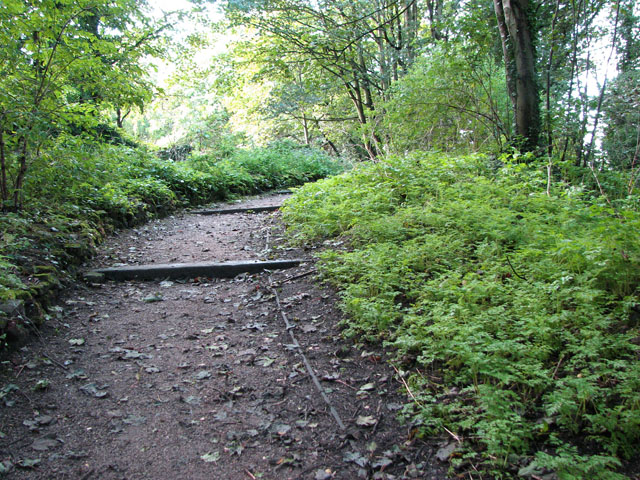 Stepped path in Kett's Heights © Evelyn Simak cc-by-sa\/2.0 :: Geograph Britain and Ireland