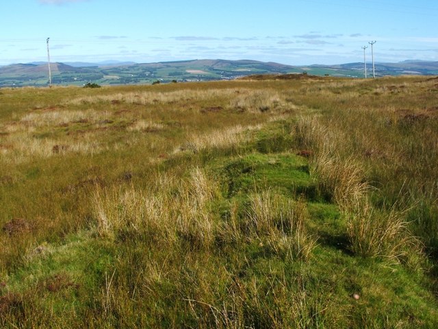 Remains of a field dyke