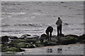 Charmouth : Rocks & Ocean