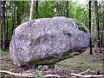 SD5476 : Perched boulder, Storth Wood, Dalton by Karl and Ali