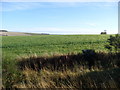 Farmland near Quarryhill